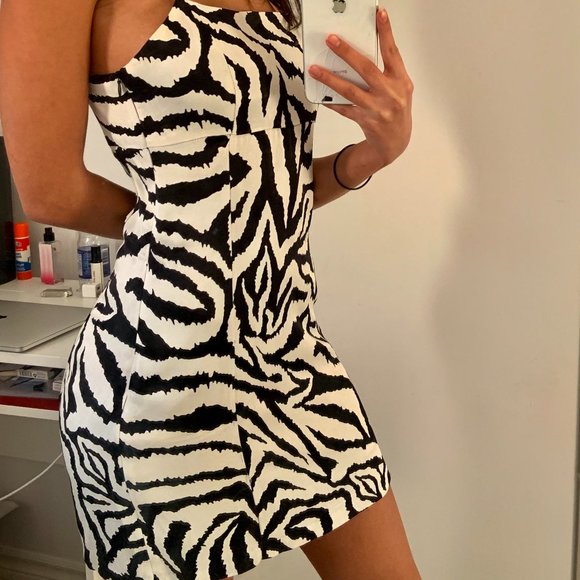 Zara Zebra Print Dress - Picture 1 of 4